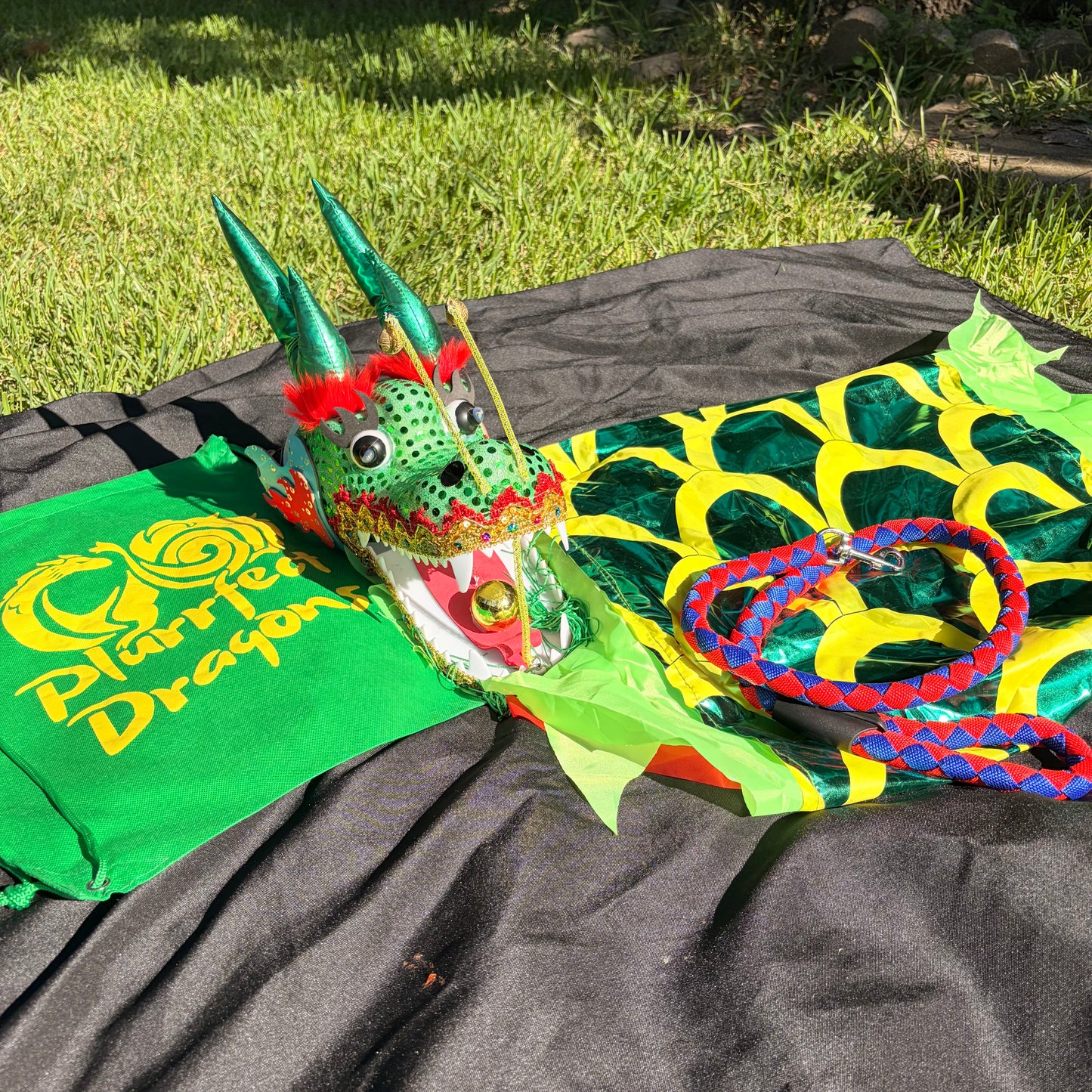 Ready-to-Ship LED Dragon Poi