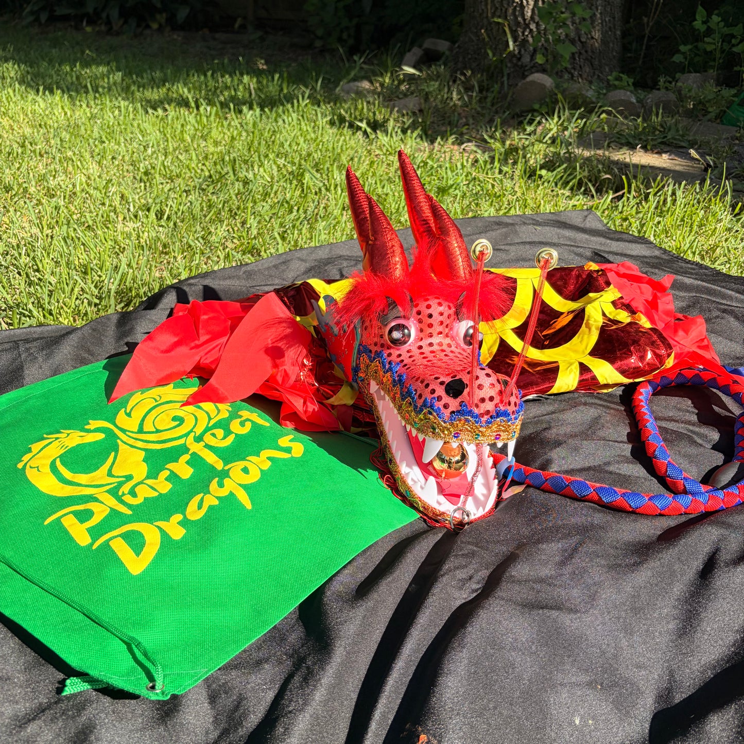 Ready-to-Ship LED Dragon Poi
