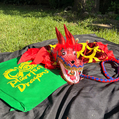Ready-to-Ship LED Dragon Poi