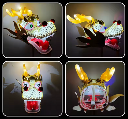 Custom LED Dragon Poi